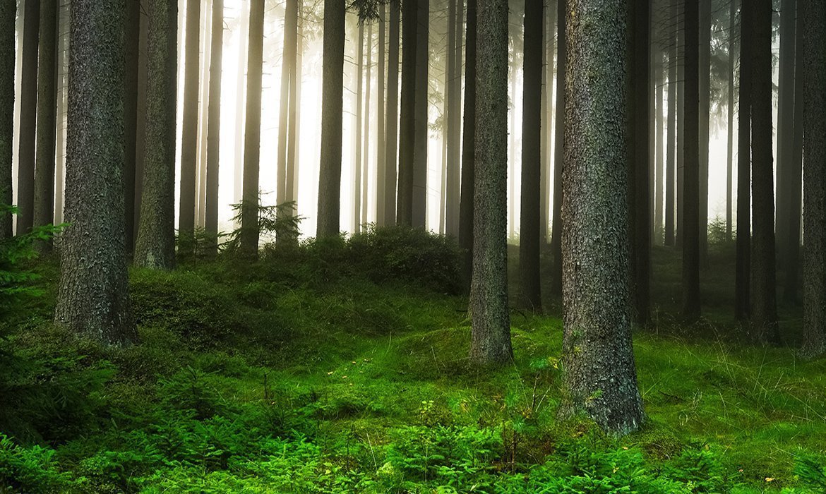 Green drive system for lifts